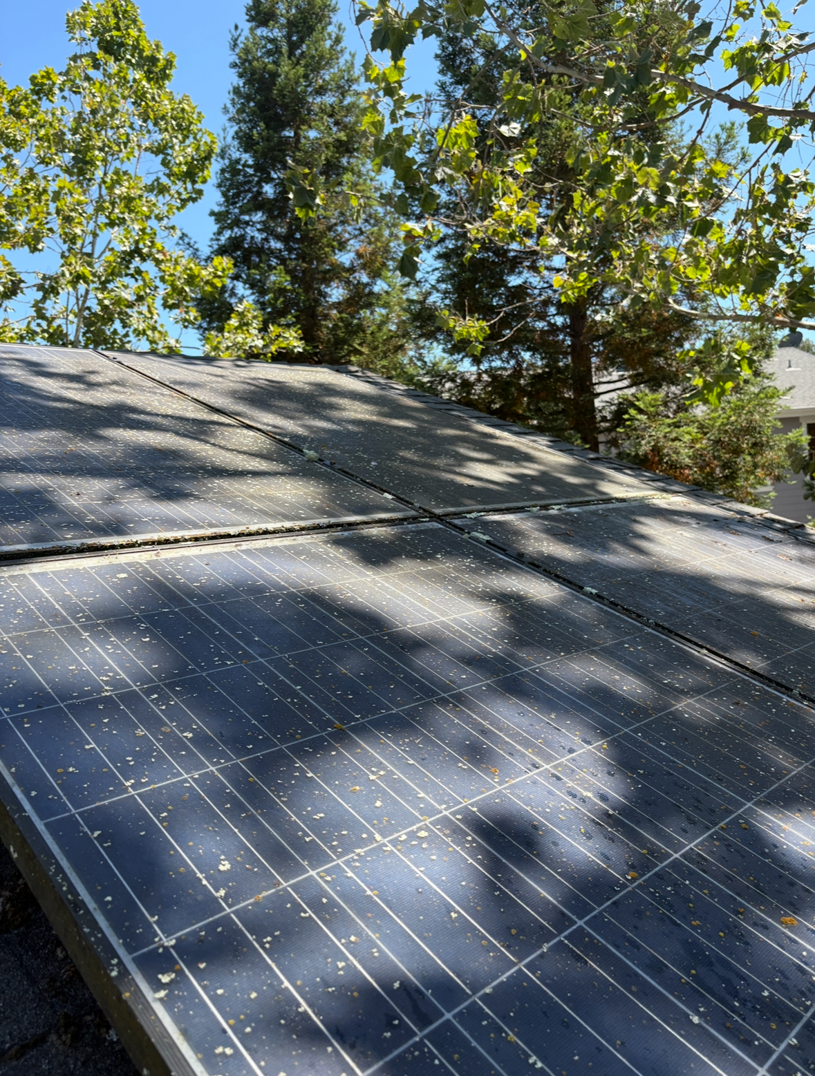 Same solar panels after accumulating leaves, pollen, and debris - showing how dirt reduces energy efficiency and light absorption